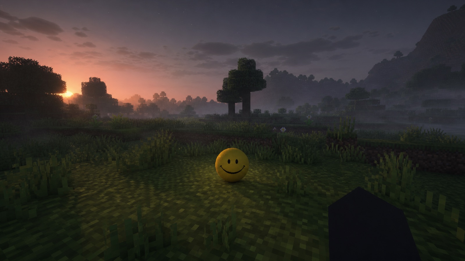 Verity's yellow smiling companion waiting in a misty block-built meadow at dusk